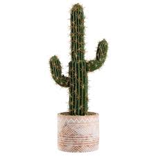 Yaourt cactus &amp; citron vert - 212ml - L&amp;L Plaquette